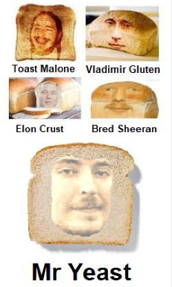 the 5th horsemen of bred Bread Sheeran, Four Horseman, Meme Caption, Goofy Drawing, Image Memes, Rage Comics, You Meme, Dankest Memes, Yeast