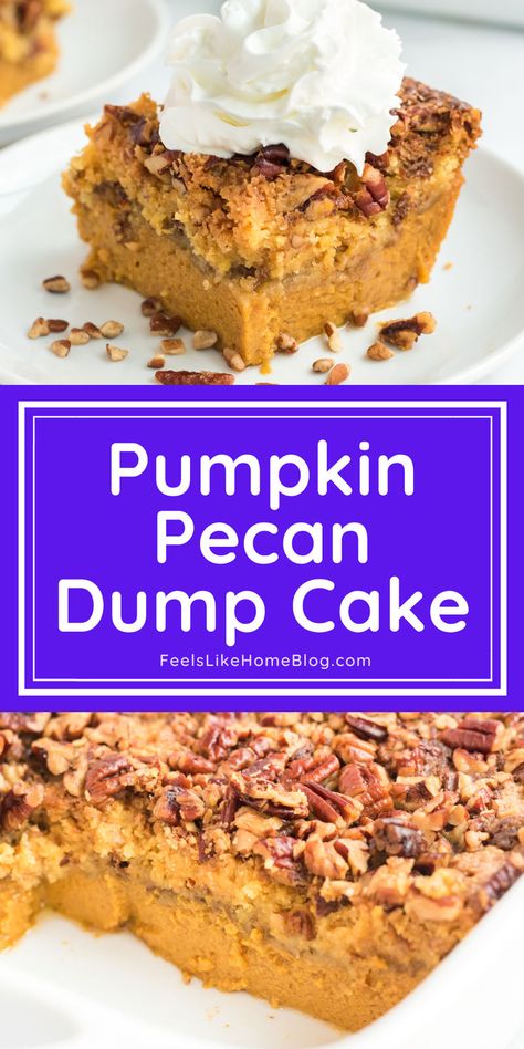 A delicious slice of pumpkin dump cake topped with whipped cream, made with yellow cake mix, pecans, and sweetened condensed milk, perfect for fall desserts and easy to make with an old-fashioned recipe and the title "pumpkin pecan dump cake" Pumpkin Pecan Dump Cake Recipe, Dump Cake With Yellow Cake, Cake Mix Sweetened Condensed Milk, Pumpkin Pecan Dump Cake, Pecan Dump Cake, Pumpkin Dump Cake Recipe, Pumpkin Dump, Dump Recipes, Dump Cake Pumpkin