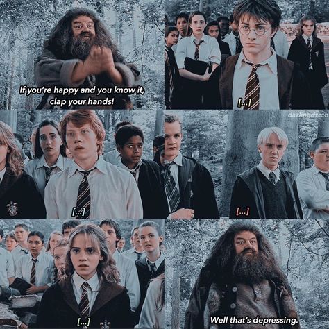 Harry Potter Funny Pictures, Harry Potter Movie, Funny Harry Potter Jokes, Potter Head, Harry Potter Memes Hilarious, Harry Potter Feels, Harry Potter Puns, Harry Potter Pin, Harry Potter Images