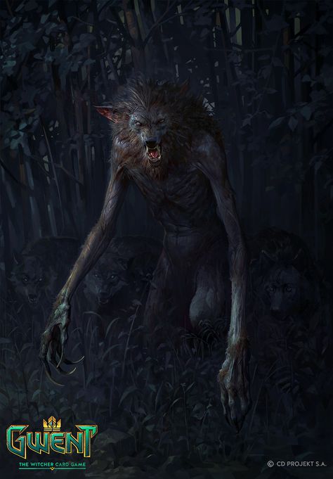 Werewolf Card, Witcher Monsters, Alpha Werewolf, The Witcher Books, Witcher Art, Werewolf Art, Dark Images, Vampires And Werewolves, Creatures Of The Night