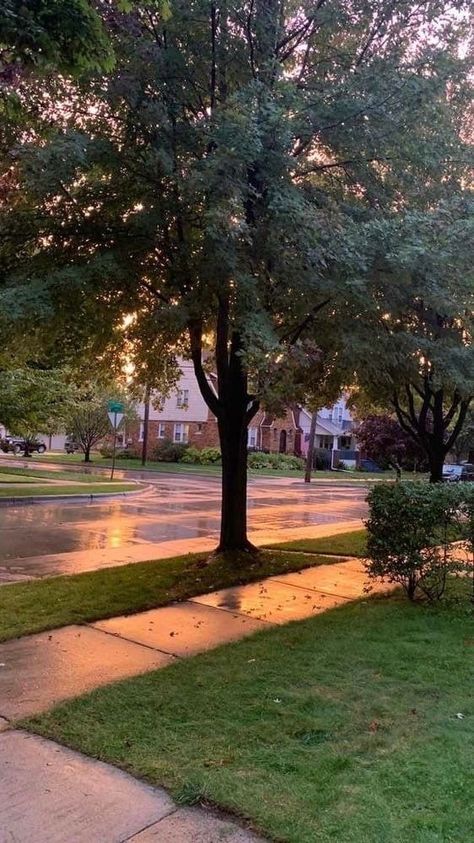 Rainy Neighborhood Aesthetic, Summer Neighborhood Aesthetic, Rainy Neighborhood, Rich Neighborhood Aesthetic, Pics Of Outside, Aesthetic Neighborhood, Suburbs Aesthetic, Neighborhood Aesthetic, Summer Photos