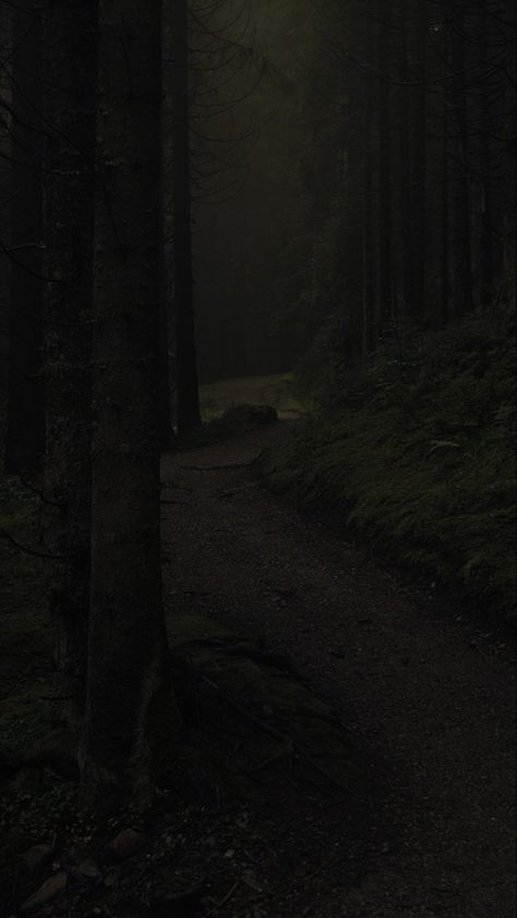 Woods At Night, Dark Naturalism, Dark Forest Aesthetic, Dark Landscape, Dark Green Aesthetic, Dark Nature Aesthetic, Night Forest, Dark Paradise, Pretty Photos