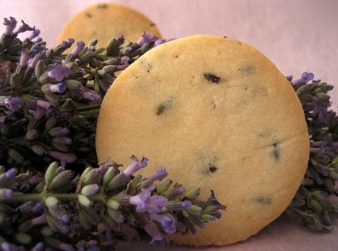 Mary Berry Lavender Shortbread Biscuits / Annabel & Grace Magazine Shortbread Desserts, Japanese Internment, Life Essay, Argument Essay, Lavender Shortbread, Lavender Cookies, Lavender Ice Cream, Application Essay, Shortbread Biscuits