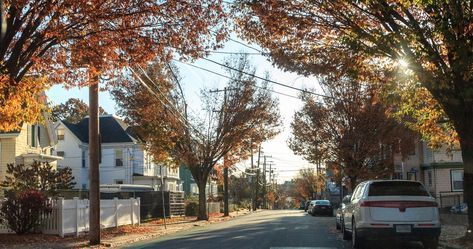 Massachusetts' humble town of Somerville has many sustainable claims to its name, and it's gorgeous in fall. Somerville Massachusetts, Mystic River, Sustainable City, Green City, Public Park, Boston Massachusetts, Get Outdoors, Local Art, Green Space