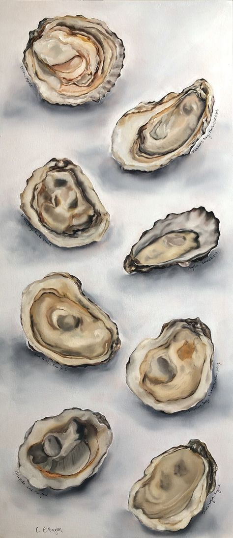 East Coast Oysters Watercolor Oyster, Ocean Kitchen, Shell Paintings, Kitchen Beach House, House Cottage, Fly On The Wall, Painted Shells, Cottage Farmhouse, Oil Painters