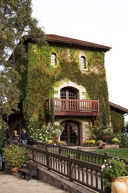 It's a beautiful world — V. Sattui Winery in Napa Valley, California - USA... Napa Valley California, Napa Trip, Napa Valley Trip, Napa Valley Wineries, California Wine Country, Wine Country California, California Wine, California Dreaming, San Fran