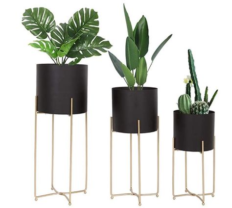 3 piece modern plant pots are in different sizes, suitable for plants in different sizes. Both large plants and small pants will have their containers with thess house floor standing planters with stands. Gold Plant Stand, Planters For Indoor Plants, Mid Century Planter, Black Planters, Metal Plant Stand, Modern Planters, Self Watering Planter, Planter Stand, Metal Planters