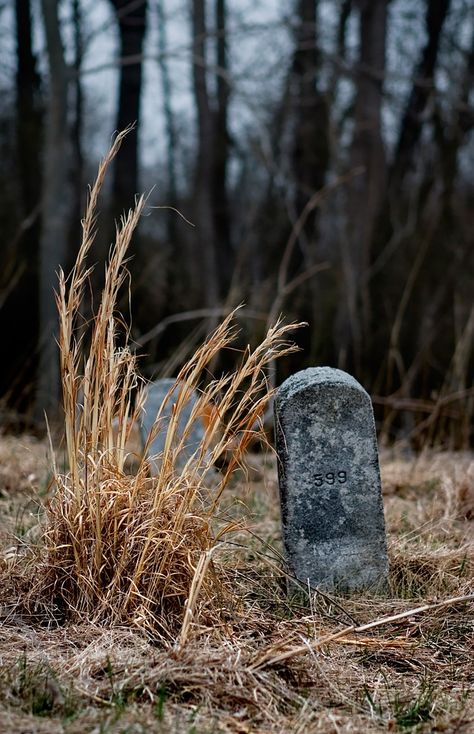 Cemetery, Marlboro State Hospital, New Jersey. 1931-1998. Pride And Prejudice And Zombies, Grave Stone, Abandoned Asylums, Stone Photography, Graveyard Shift, Cemetery Headstones, Lockwood And Co, Headless Horseman, Old Cemeteries