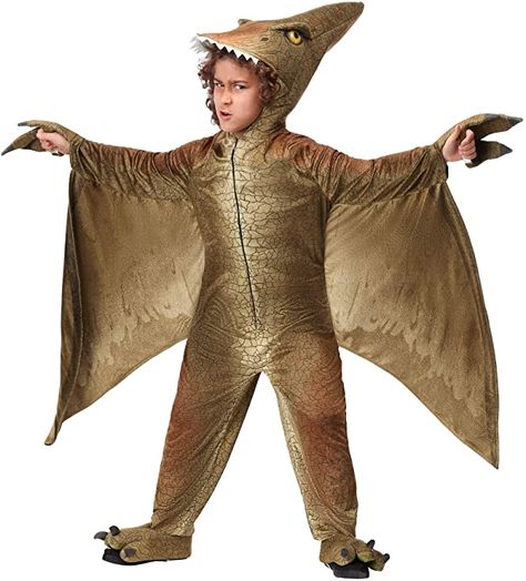 AmazonSmile: Child's Pterodactyl Dinosaur Costume X-Small: Clothing Pterodactyl Costume, Reptile Eye, Godzilla Kaiju, Mesozoic Era, Pirate Costumes, Theme Nights, Jurassic Period, Dinosaur Outfit, Costume For Kids