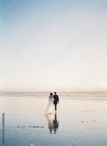 Stock Image: Beautiful vertical back shot of a newly wed couple walking barefoot on the beach Engagement Photos Tree, Beach Photo Shoot Couples, Engagement Photos Oak Trees, Couple On Beach, Engagement Pictures Beach, Family Maternity Photos, Couples Walking, Couple Engagement Pictures, Wedding Picture Poses