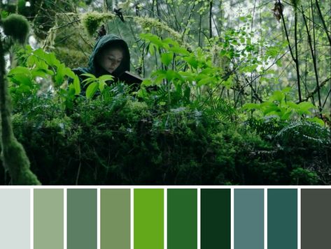 Movie Pallets Color Palettes, Cinematic Pallet, Cinematography Color Palette, Cinematic Palette, Cinema Color Palette, Cinematic Color Palette, Film Color Palette, Cinema Palettes, Movie Palette