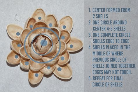 how to make a flower from pistachio nut shells, easy and fun Flower From Pistachio Shells, Pistachio Crafts, Pistachio Art, Pistachio Nut, Pistachio Shell, Pista Shell Crafts, Pistachio Shells, Shells Diy, Shell Flowers