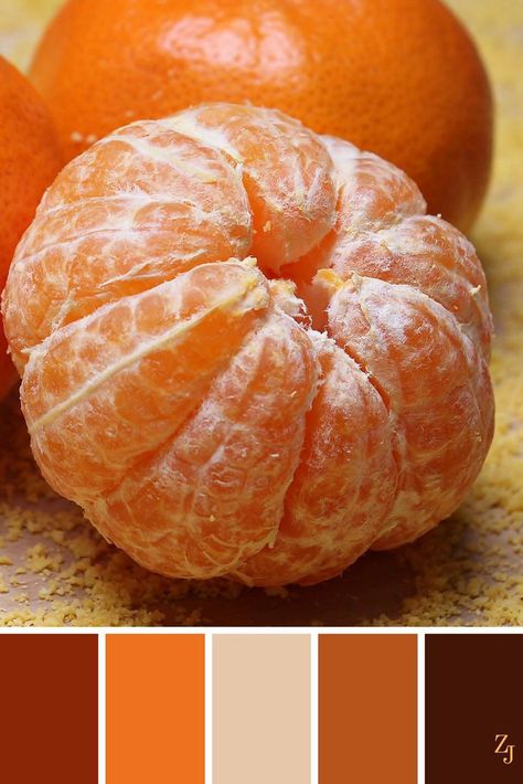 Color Mixing Chart, Orange Color Palettes, Paint Color Schemes, Color Schemes Colour Palettes, Nature Color Palette, Color Palette Design, Color Balance, Color Harmony, Color Wheel