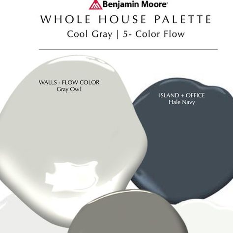 Knoxville Gray, Dove Wing, Greige Paint, Benjamin Moore White, Best White Paint, Color Boards, Open Concept Home, Revere Pewter, Paint Inspiration