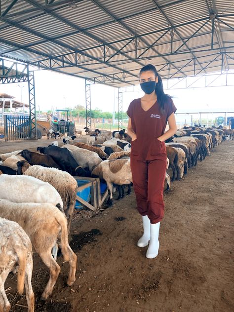 Large Animal Vet Aesthetic, Farm Vet Aesthetic, Large Animal Veterinarian Aesthetic, Vet Tech Outfit, Equine Vet Tech, Wildlife Vet, Veterinarian Career, Vet School Motivation, Equine Veterinarian