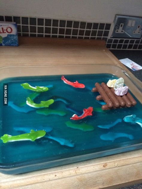 His GF didn't want a cake for her Birthday. So they had Shark infested Jelly(jello). She loves Sharks! Sharknado Party, Shark Week Party, Cake For Her, Shark Themed Birthday Party, Shark Cake, Shark Birthday Party, Ocean Party, Fishing Birthday, Shark Party