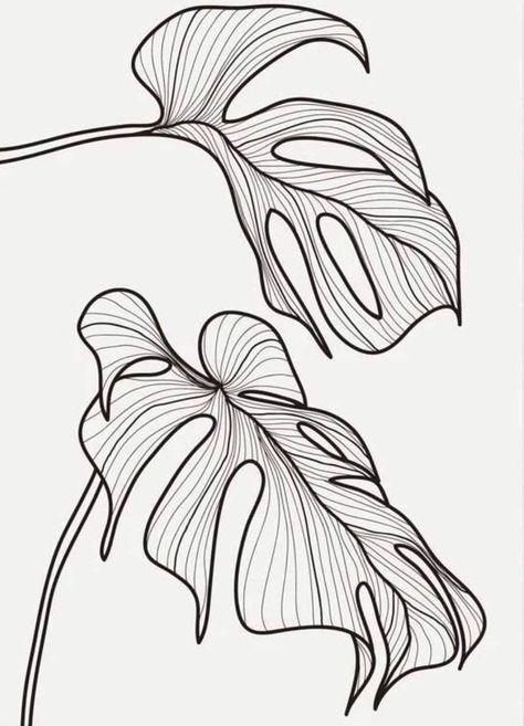 Monstera Plant Sketch, Monstera Plant Drawing, Monstera Plant Tattoo, Monstera Line Art, Botanical Photos, Monstera Tattoo, Plants Tattoo, Plant Sketch, Simple Drawing Ideas