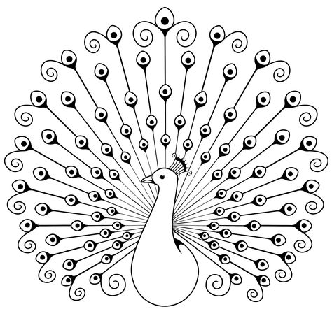 Peacock Sketch, Peacock Coloring Pages, Clip Art Black And White, Elephant Coloring, Peacock Drawing, Arte Quilling, Peacock Pictures, White Peacock, Peacock Art