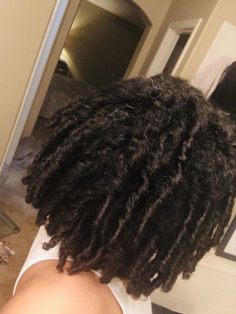 Locs on 3b/3c hair Curly Freeform Locs, 3b Hair Locs, Locs 3b Hair, Starter Locs On 3b/3c Hair, 3b Locs Natural Hair, 3c Locs Natural Hair, Locs On 3b Hair, Locs On 3c Hair, 3b Locs