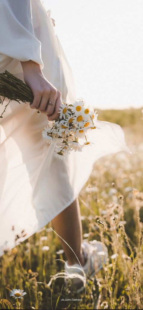 Journal Pictures, Lisa Green, Skincare Blog, Field Of Dreams, Face Photography, Ideas Photography, Chamomile Flowers, Cosmetic Skin Care, Adobe Photoshop Lightroom