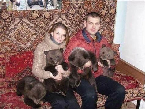 Photo Ours, Meanwhile In Russia, Bloc Party, Russian Memes, Brown Bears, Russian Culture, Girlfriend Humor, East Europe, Weird Pictures