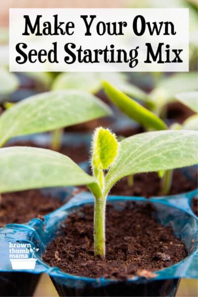 Seed Starting Soil Recipe, Diy Seed Starting Soil, Seed Starting Mix Recipe, Seed Starting Indoors Set Up, Diy Seed Starting Tray, Seed Starting Indoors Diy, Seed Starting Indoors, Soil Recipe, Growing Plants From Seeds