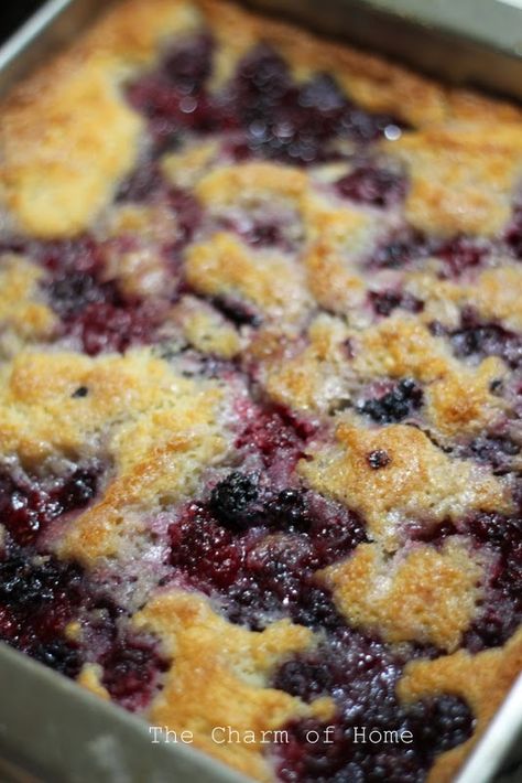 Blackberry Dumplings, Blackberry Cobbler Recipe, Blackberry Recipes, Berry Cobbler, Blackberry Cobbler, Cooking Measurements, Fruit Cobbler, Coconut Pie, Blueberry Cobbler