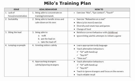 40 Dog Training Plan Template | Hamiltonplastering Session Plan Template, Training Plan Template, Basketball Practice Plans, Business Letter Format, Puppy Training Schedule, Lesson Plan Template Free, Business Plan Template Free, Action Plan Template, Reference Letter Template