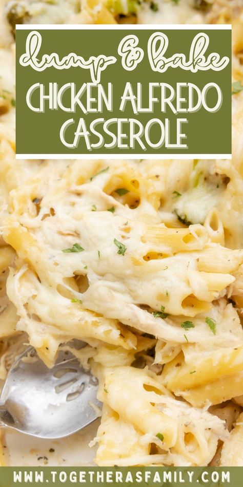 Chicken Fettuccine Alfredo Bake, Recipe Using Alfredo Sauce, Simple Chicken Alfredo Recipe, Alfredo Casserole, Baked Chicken Alfredo Pasta, Chicken Pasta Casserole, Chicken Alfredo Casserole, Dump And Bake, Chicken Alfredo Bake