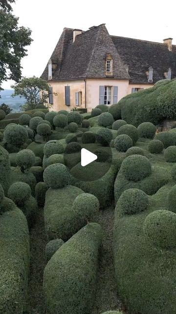 Edenrowe 🌿 Garden Design + Inspiration + Travel on Instagram: "Majestic @marqueyssac, where over 150,000 meticulously hand-pruned boxwoods live. Perched above the Dordogne River, this historical masterpiece offers panoramic views that inspire and awe. 🌿🏰💫   🌿 Our monthly newsletter is blooming soon ⁠⇢ visit our link in bio⁠ to sign up  #MarqueyssacGardens #Boxwood #DordogneValley #FrenchGardens #HistoricGardens #GardenArtistry #LandscapeDesign #PanoramicViews #CulturalHeritage #NaturePhotography #GardenExploration #TravelFrance #GardenInspiration #Wanderlust #BotanicalWonder #ScenicDestinations #NatureWalks #GardensofInstagram #PeacefulPlaces #TopiaryArt #ExploreNature#drone" Boxwood Landscaping, Dordogne River, Garden Design Inspiration, European Garden, Courtyard Gardens Design, Earthly Delights, Courtyard Gardens, Garden Of Earthly Delights, Monthly Newsletter