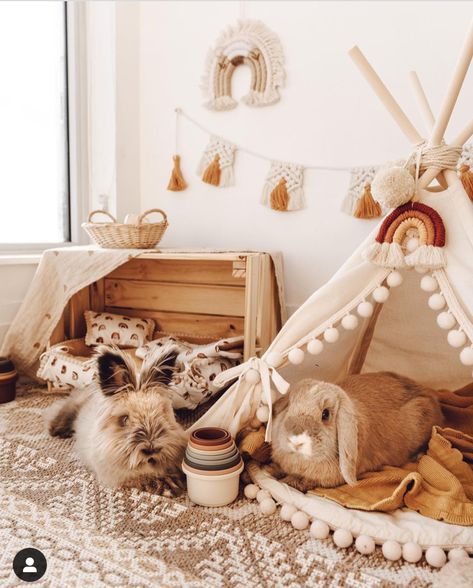 Cute Rabbit Setup, Boho Bunny Room, Cute Bunny House Ideas, Diy Rabbit Decor, Cute Bunny Cage Ideas Indoor, Pet Bunny Ideas, Bunny Cage Setup Ideas, Bunny Cage Decor, Cute Bunny Cages