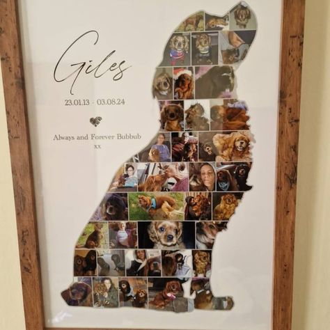 Custom Spaniel Photo Collage, Dog Lover Gift, Pet Memorial Gift, Pet Loss, Personalise With Your Digital Photos - Etsy Pet Memorial Ideas Dogs, Pet Memorial Ideas, Pet Loss Dog, Photo Collage Prints, Collage Foto, Cheap Diy Home Decor, Pet Keepsake, Dog Pen, Personalized Pet Gifts