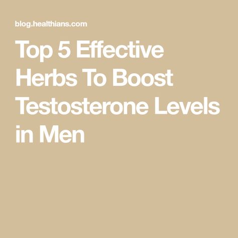 Top 5 Effective Herbs To Boost Testosterone Levels in Men Naturally Increase Testerone, How To Boost Testosterone Naturally, Natural Testerone Boosters For Men, Testosterone Pellets For Women, Mens Testerone Booster, Testosterone Pellets, Testosterone Replacement Therapy, Increase Testosterone Levels, Gain Muscle Mass