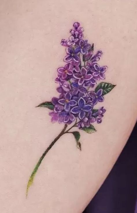 Lilac Hummingbird Tattoo, Lilac Tattoo Color, Lilac Tattoo Design, Lilac Flower Tattoo, Chickadee Tattoo, Violet Flower Tattoos, Witcher Tattoo, Lilac Tattoo, Purple Tattoos