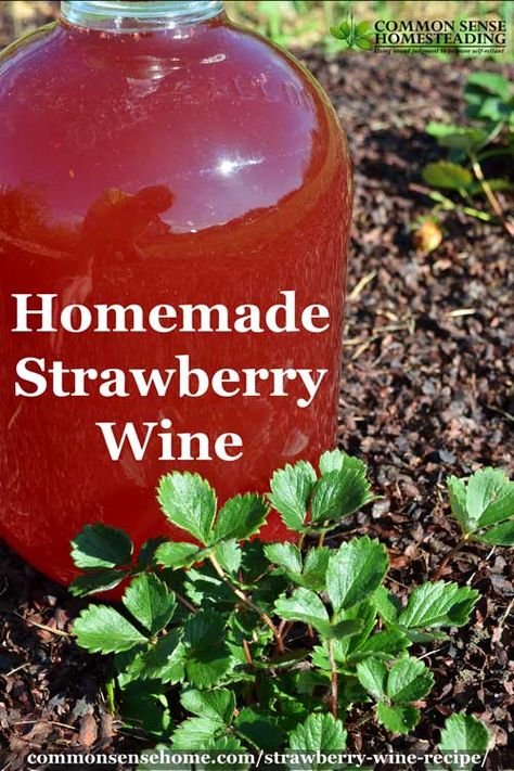 Add a little kick to your strawberry season! This homemade strawberry wine recipe comes together in minutes and is ready to enjoy in just a few months. Strawberry Wine Recipe, Wine Making Recipes, Homemade Wine Recipes, Homemade Alcohol, Homemade Liquor, Wine Recipe, Moonshine Recipes, Strawberry Season, Strawberry Wine