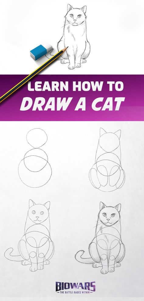 A collage of images depicting the process of drawing a cat. Cat Sketch Step By Step, How To Draw A Cute Cat Step By Step, How To Draw Anime Cat, Realistic Cat Drawing Step By Step, Animal Drawing Tutorial Step By Step, How To Paint A Cat Step By Step, Simple Cat Drawing Step By Step, Cat Drawings Step By Step, Draw A Cat Step By Step