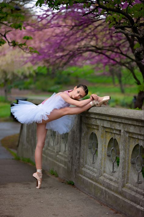 Ballerina stretching on bridge under flower tree En Pointe Photography, Pointe Shoes Photography Photo Shoots, Ballet Photoshoot Outside, Winter Ballet Photoshoot, Ballet Photo Poses, Dance Recital Photography, Easy Ballet Poses Photography, Dancing Princess Aesthetic, Ballerina Poses Photography