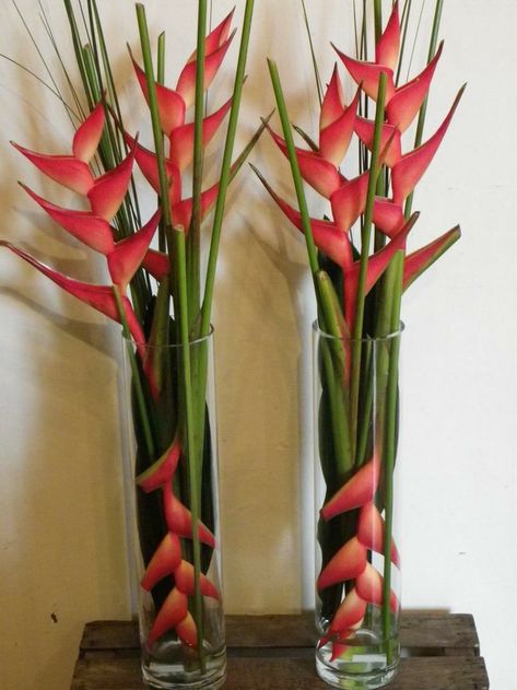 Heliconia Arrangement, Heliconia Flower, Tropical Floral Arrangements, Tropical Flower Arrangements, Ikebana Flower, Large Flower Arrangements, Tafel Decor, Ikebana Flower Arrangement, Church Flower Arrangements