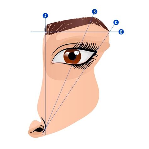 Gradient brow mapping illustration | Free Vector #Freepik #freevector #face #woman #gradient #process Mapping Illustration, Image Girly, Brow Mapping, Eyebrow Trends, Brow Studio, Eyebrow Design, Makeup Artist Business Cards, Permanent Makeup Eyebrows, Makeup Artist Business