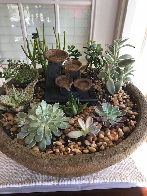 Succulent Garden With Water Feature, Succulent Water Fountain, Rock Garden Indoor, Mini Jungle Garden, Indoor Fountain With Plants, Mini Water Fountain Indoor, Indoor Water Fountains With Plants, Succulent Zen Garden, Mini Fountain Garden