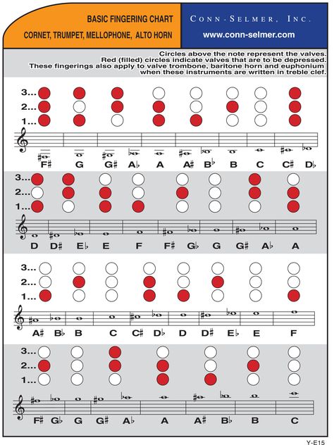 Fingering Charts for Trumpets and Cornets provided by Conn-Selmer. We have quality instruments for sale and for rent at www.carltonmusic.com Trumpet Fingering Chart, Saxophone Fingering Chart, Play Trumpet, Trumpet Instrument, Trumpet Sheet Music, Trumpet Music, Clarinet Sheet Music, Jazz Sheet Music, Saxophone Sheet Music