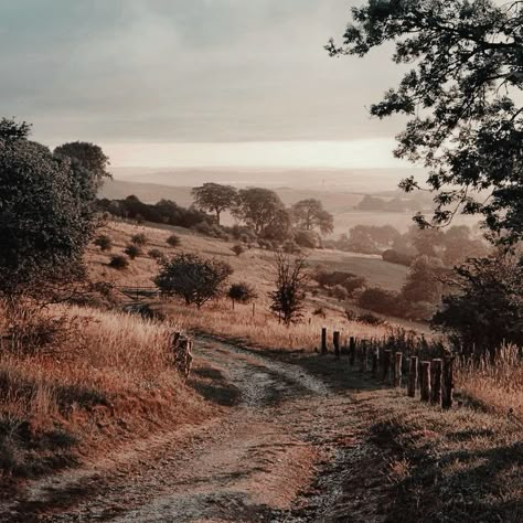 Traveler Aesthetic Medieval, The Nightingale Kristin Hannah Aesthetic, Western Romance Aesthetic, Fitz Farseer, The Nightingale Aesthetic, Farmland Aesthetic, Mackenzie Core, Aesthetic Medieval, Southern Aesthetic