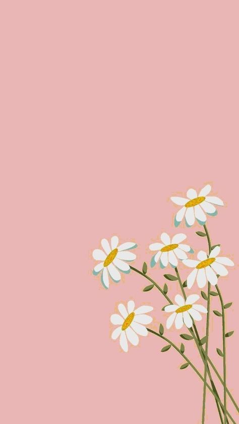 Pink Daisy Wallpaper, Foto Muro Collage, Pink Daisy Flower, Simplistic Wallpaper, Rock Flowers, Cute Summer Wallpapers, Daisy Wallpaper, Simple Phone Wallpapers, Phone Wallpaper Patterns