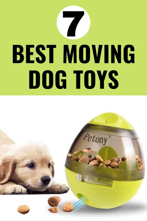 Every dog owner knows how much dogs enjoy playtime with their favorite toys, and that’s why finding the best toys for your dog matters.  This video explains what different types of interactive dog toys there are to choose from, and why they may be good. However, for many dogs, a moving toy is a perfect fit. #dogtoys Homemade Dog Toys, Puppy Funny, Dog Toys Indestructable, Diy Dog Toys, Dog Toy Storage, Durable Dog Toys, Best Dog Toys, Pet Supplies & Accessories, Best Puppies