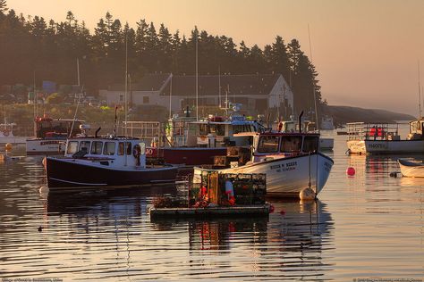 This shows Corea, a small fishing village that is part of Gouldsboro, Maine, near the Schoodic Peninsula portion of Acadia National Park. Photo was taken at 6:17 AM.  NOTE: All images are Copyrighted by Greg A. Hartford. No rights to use are given or implied to the viewer. All rights of ownership and use remain with the copyright owner. Gouldsboro Maine, Acadia Maine, Fishing Town, Maine New England, Harbor Town, Maine Art, Maine Travel, Acadia National Park, Fishing Villages