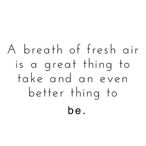 Air Quotes, I Quit Sugar, Quit Sugar, A Breath Of Fresh Air, Take A Breath, I Quit, Breath Of Fresh Air, Fresh Air, This Weekend