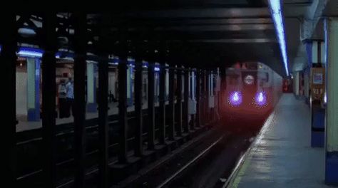 Train Nyc, Movie Special Effects, House Of Leaves, Hiking Gif, Fly On The Wall, Wall Watch, Humor Hilarious, Subway Train, African Grey Parrot