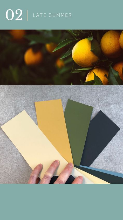 Colour scheme inspired by Mediterranean late summer, featuring Farrow & Ball Bancha and India Yellow Farrow Ball Bancha, Drawing Room Wall Colour, Kitchen Cupboard Colours, Mediterranean Color Palette, Kitchen Revamp, Tropical Interiors, House Redesign, Eclectic Bathroom, Minimalist Dining Room