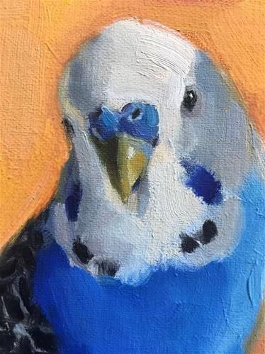 "Budgie64-oil" by Katya Minkina Katya Minkina, Bird Parakeet, Creative Doodling, Parakeet Art, Pastel Animals, Blue Parakeet, Budgies Bird, Parrots Art, Parakeets