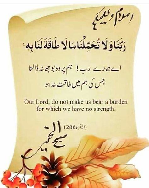 Subh Bakhair, Suba Bakhair, Subah Bakhair, Morning Dua, Friday Wishes, Good Morning Arabic, Morning Quotes Images, Assalamualaikum Image, 5 Min Crafts